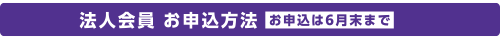 レギュラー