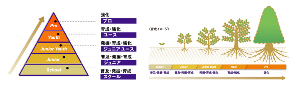 育成型クラブ・育成イメージ
